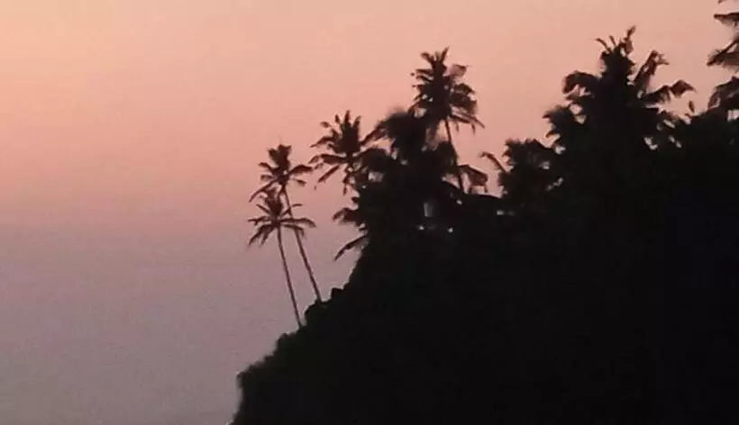 Surf Camp Hostel