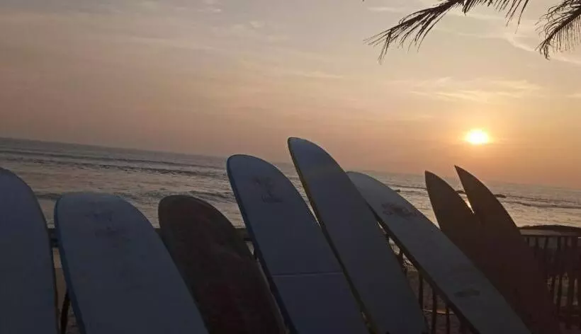 Surf Camp Hostel