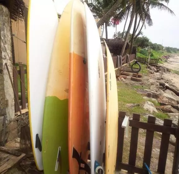 Surf Camp Hostel