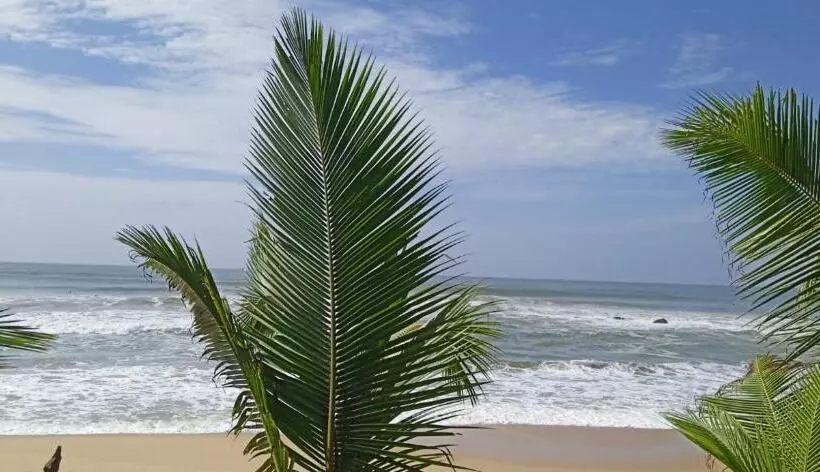 Surf Camp Hostel