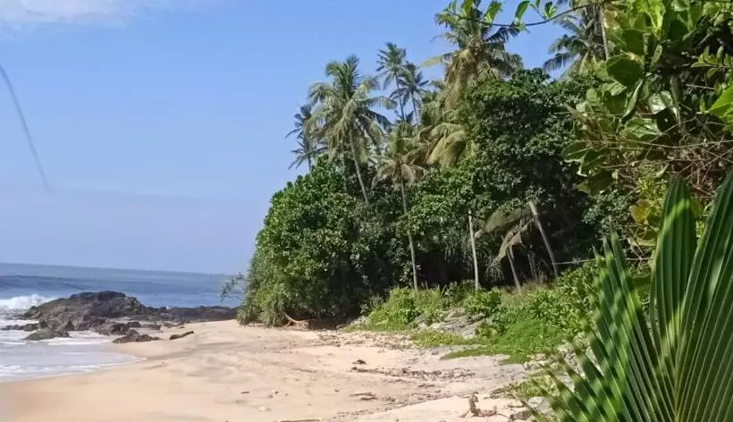 Surf Camp Hostel