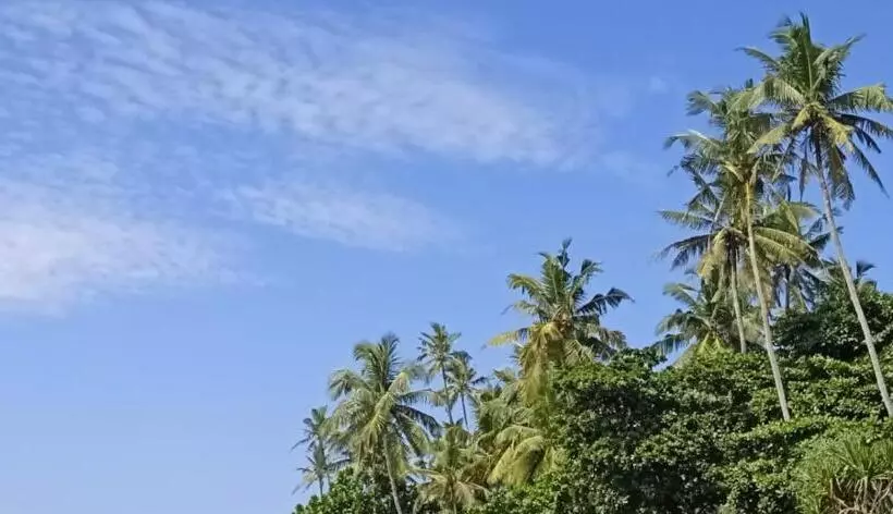 Surf Camp Hostel