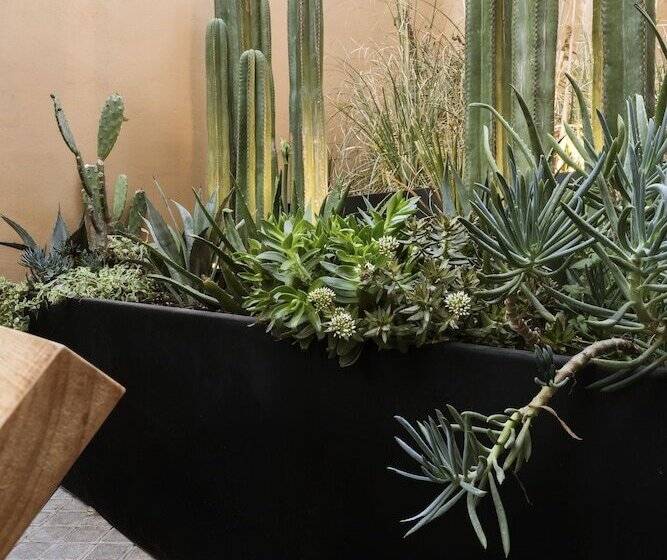 בית מלון כפרי Macondo Arte Oaxaca