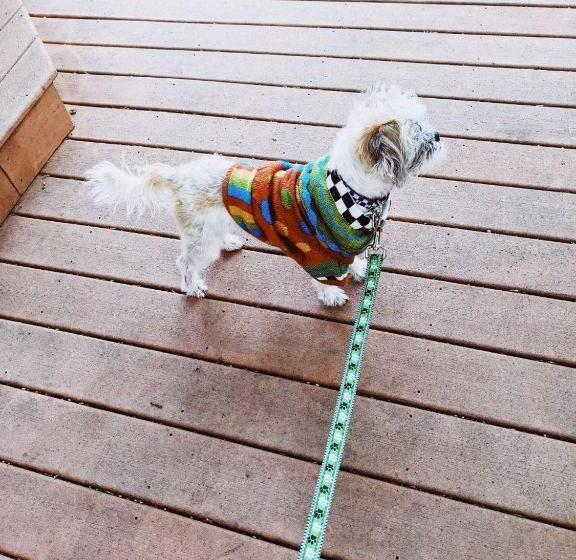 Bed and Breakfast Magnolia Llc Short Term Rentals Private Room On The Second Floor