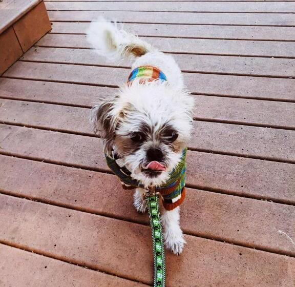 Bed and Breakfast Magnolia Llc Short Term Rentals Private Room On The Second Floor