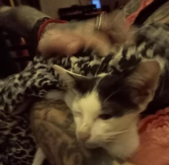 پانسیون One Piece Kampot