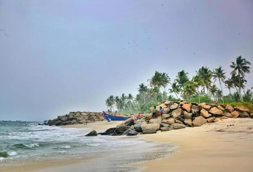 Majatalo Shore Stories
