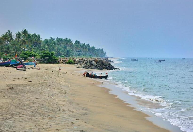 Pension (Hôtel basse catégorie) Shore Stories