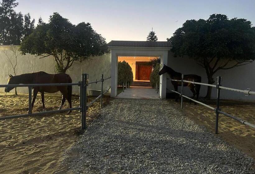 بنسيون Villa Il Cavaliere