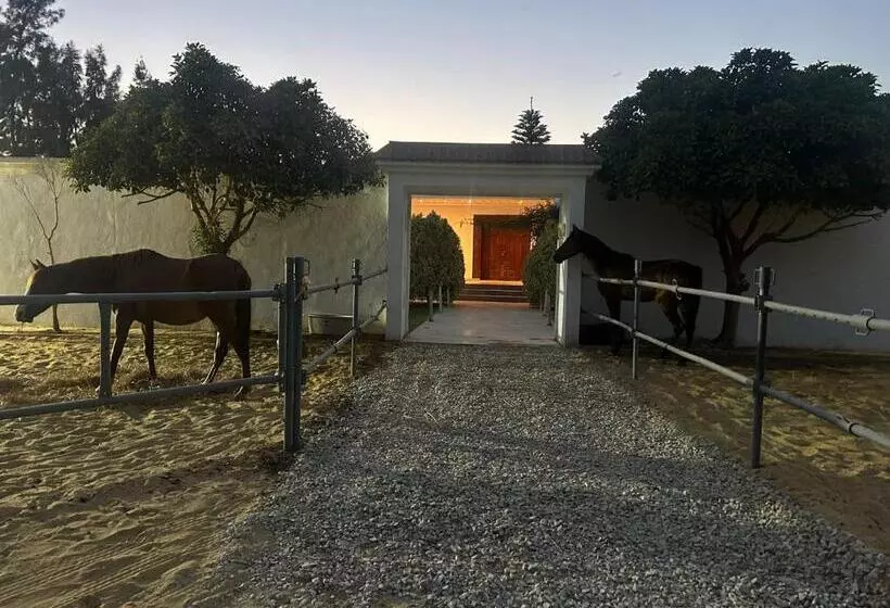ペンション Villa Il Cavaliere