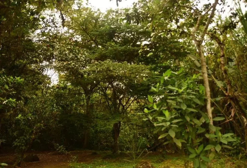 Hotelli Mindo Monasterium