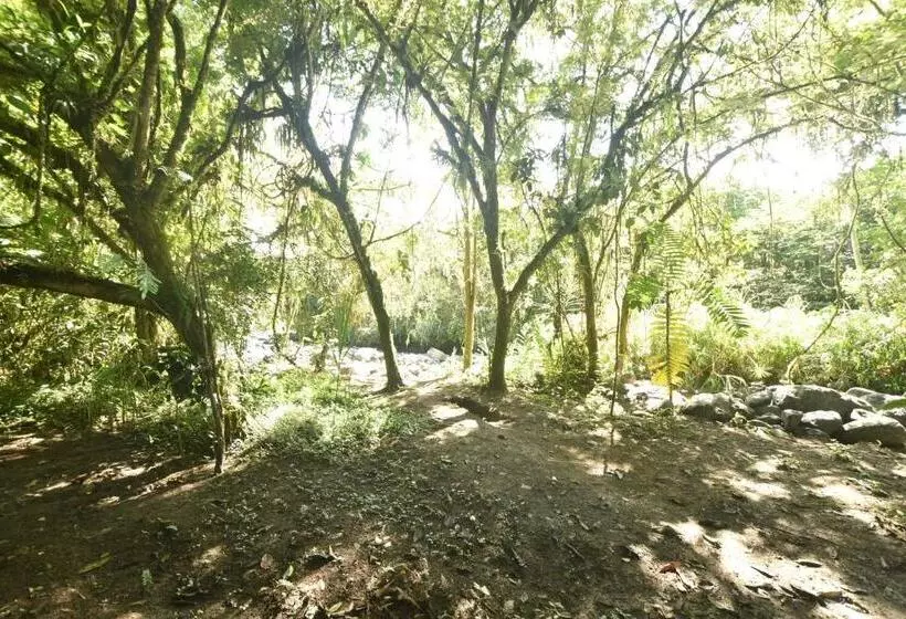 Hotelli Mindo Monasterium