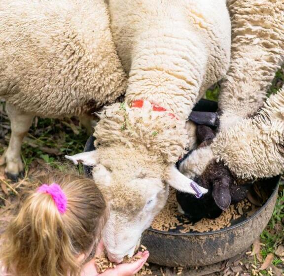 Отель Petana Farm Stay