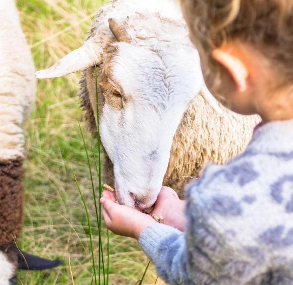 Отель Petana Farm Stay