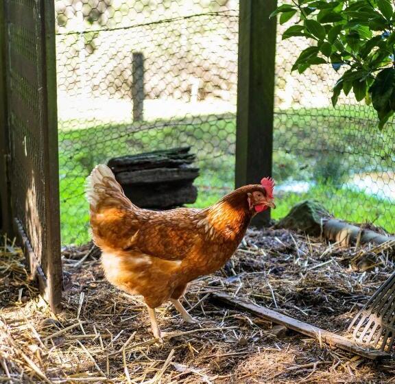 Отель Petana Farm Stay