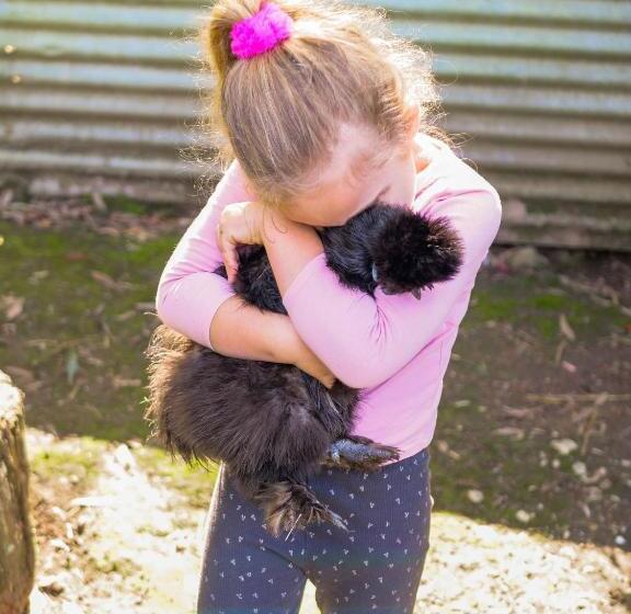 Отель Petana Farm Stay