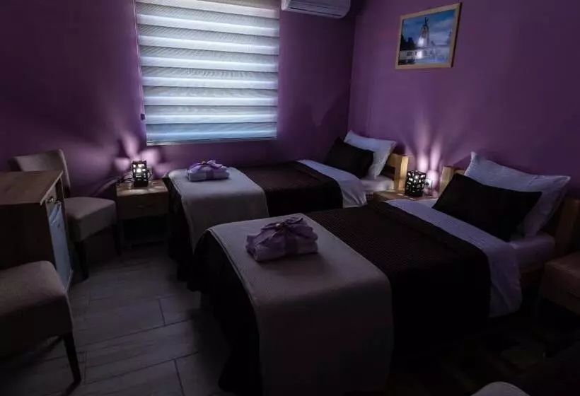 هتل Smestaj & Spa Protić