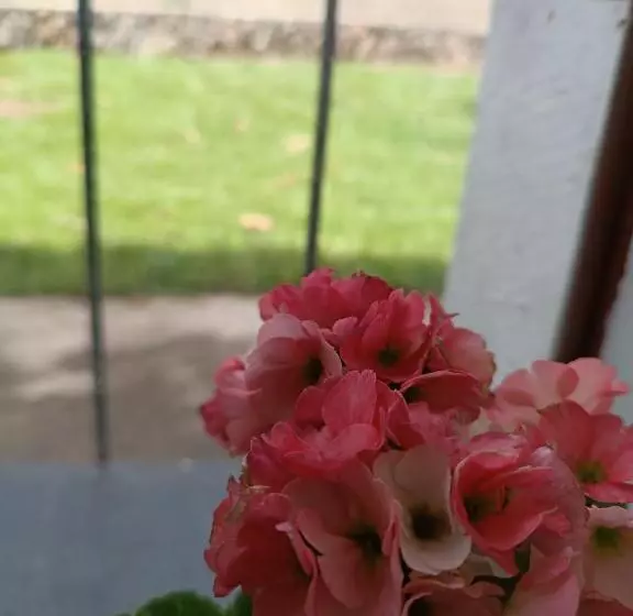 پانسیون Casa Jardin Copacabana
