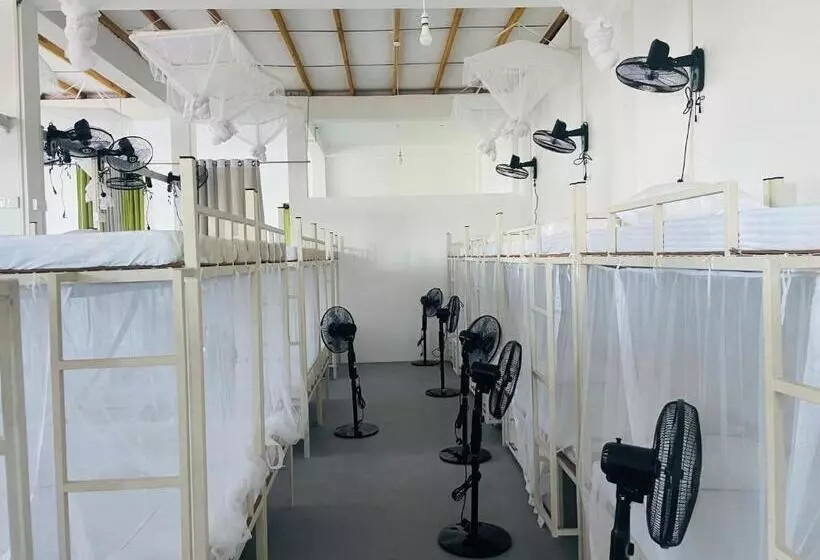 R Eight Hostel