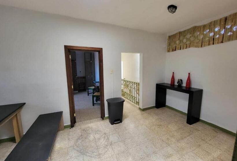 Soluna Female Only Hostel