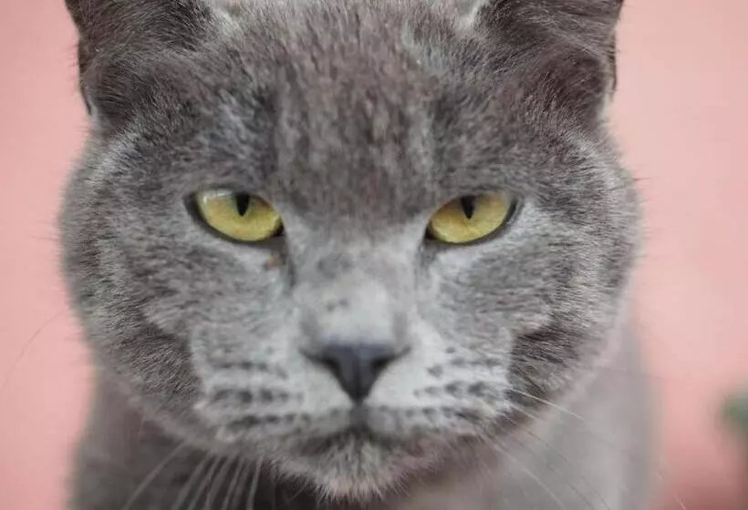 استراحتگاه Podere Dell Etna Segreta   Essential Nature