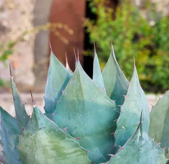 استراحتگاه Podere Dell Etna Segreta   Essential Nature