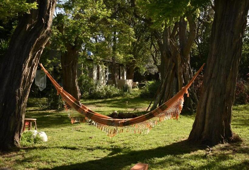 הוסטל Almar Holística