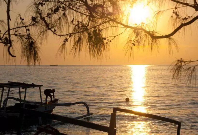 ユースホステル Thank You Bungalow