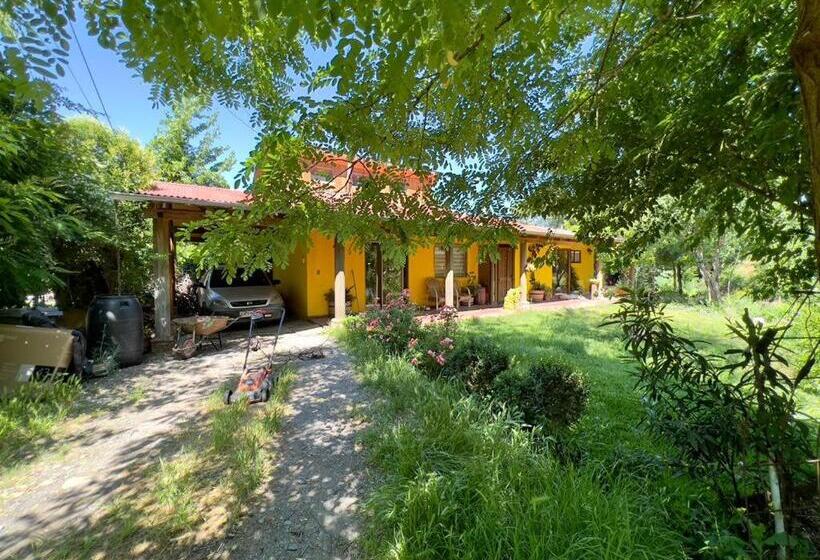 Aamiaismajoitus (B&B) Alojamiento A 5 Min Ruta 5 Sur