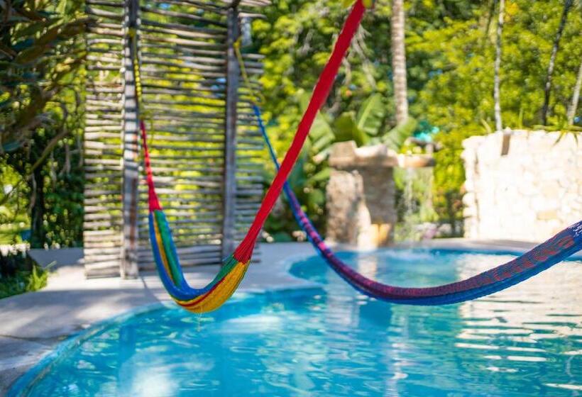 فندق Cabañas Safari Eco