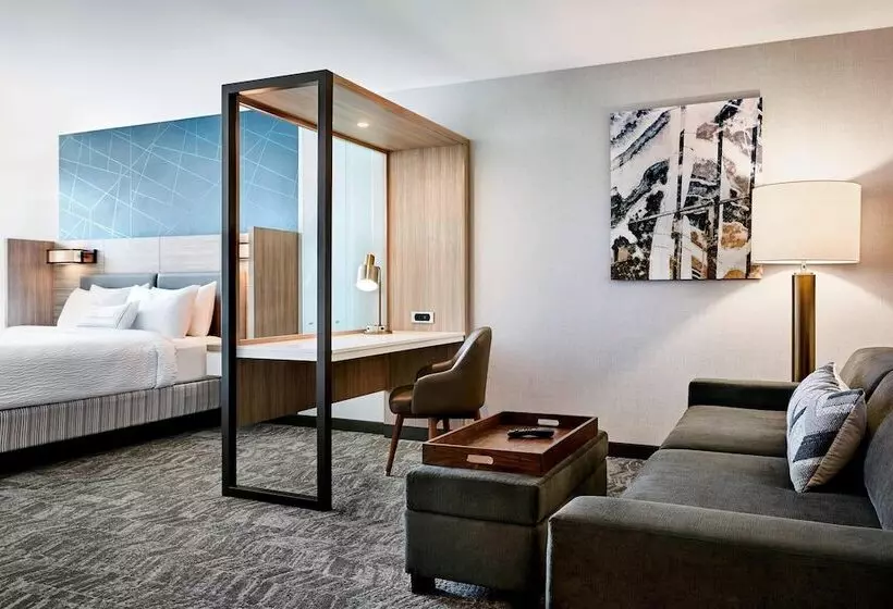 Hotelli Springhill Suites By Marriott Roanoke North