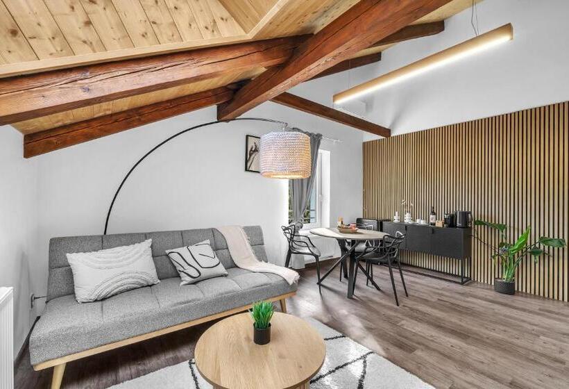 酒店 U Krále Jiřího