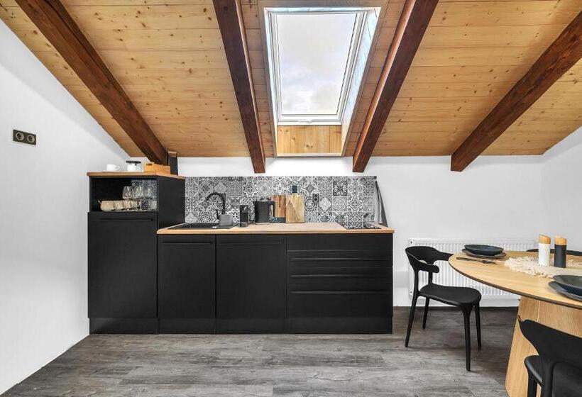 酒店 U Krále Jiřího