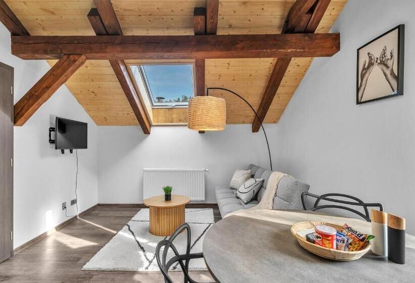 酒店 U Krále Jiřího