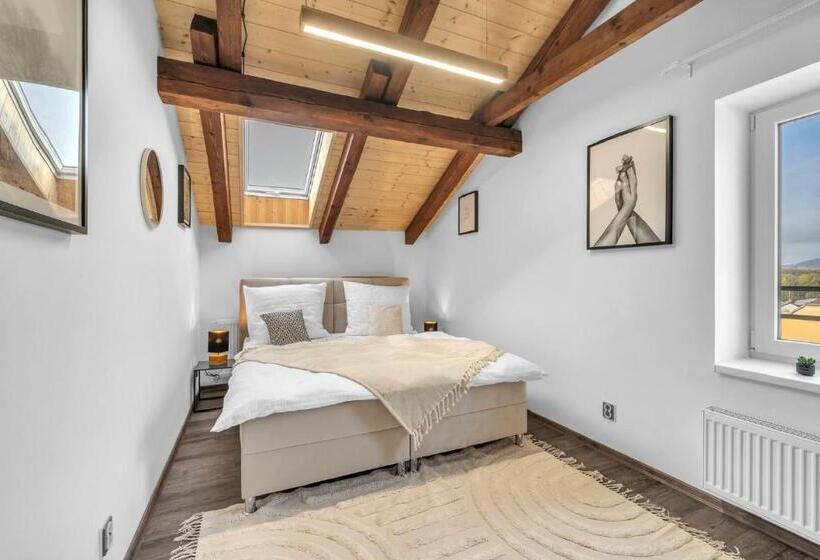 酒店 U Krále Jiřího