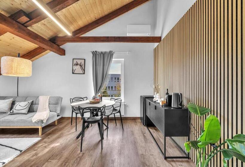 酒店 U Krále Jiřího