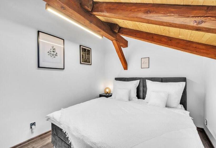 酒店 U Krále Jiřího