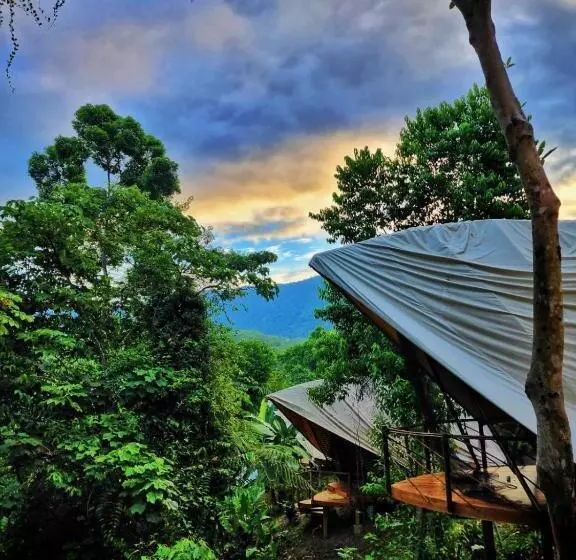 Jungle Gayborhood   Lgbtq Boutique Hotel And Retreat