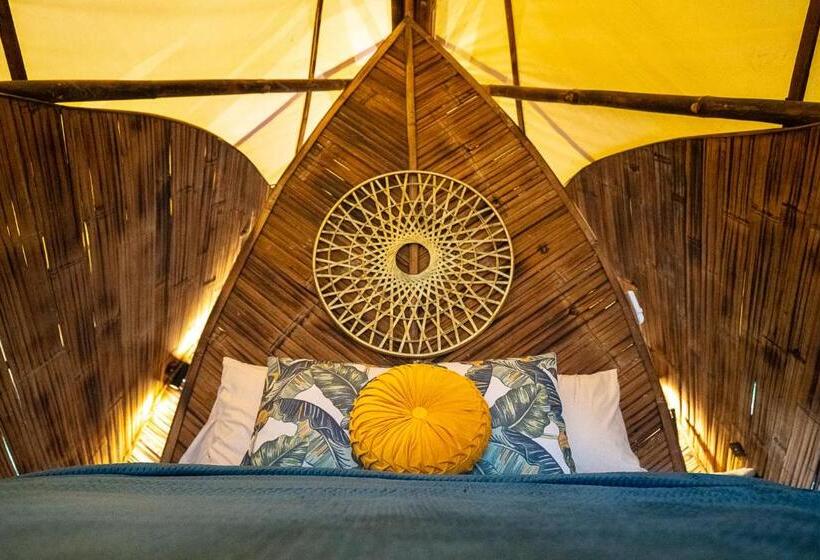 Jungle Gayborhood   Lgbtq Boutique Hotel And Retreat