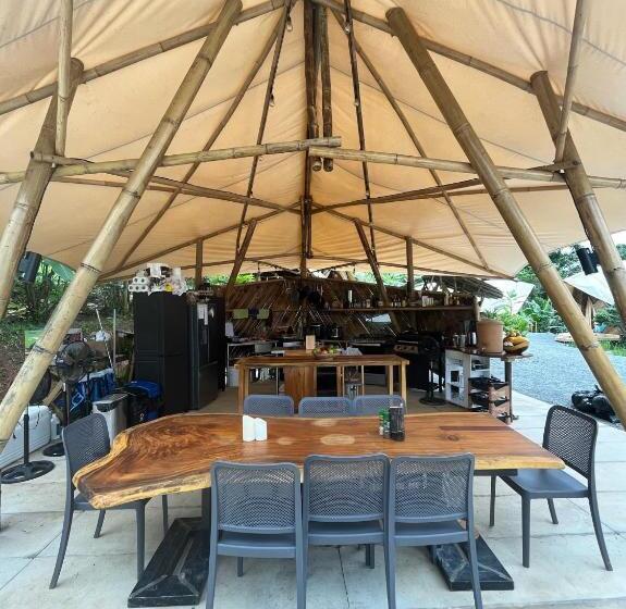 Jungle Gayborhood   Lgbtq Boutique Hotel And Retreat