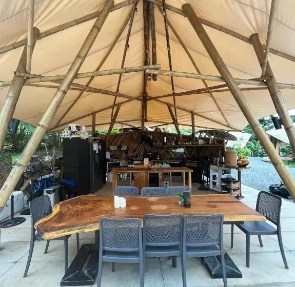 Jungle Gayborhood   Lgbtq Boutique Hotel And Retreat