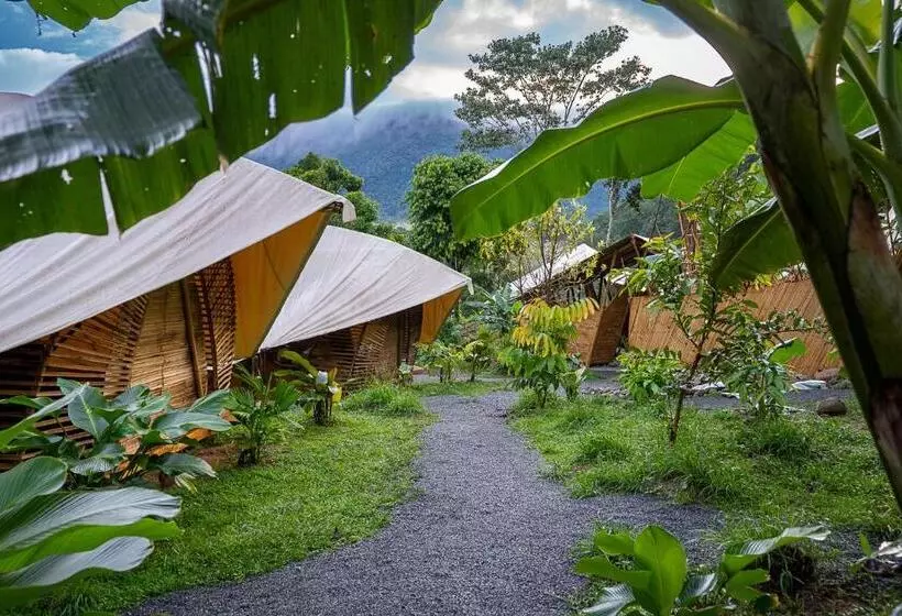 Jungle Gayborhood   Lgbtq Boutique Hotel And Retreat