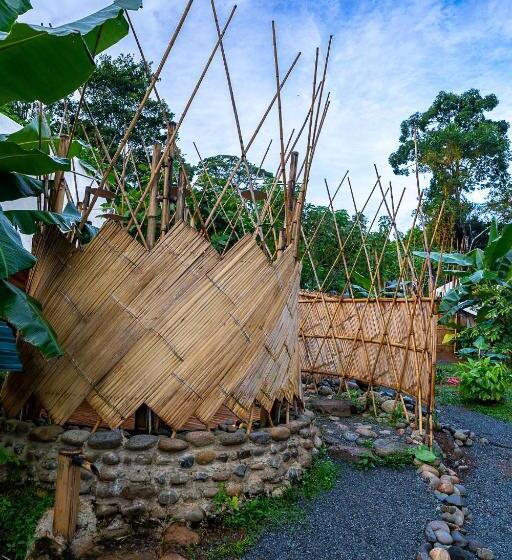 Jungle Gayborhood   Lgbtq Boutique Hotel And Retreat