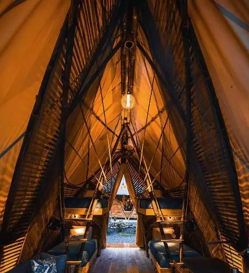 Jungle Gayborhood   Lgbtq Boutique Hotel And Retreat