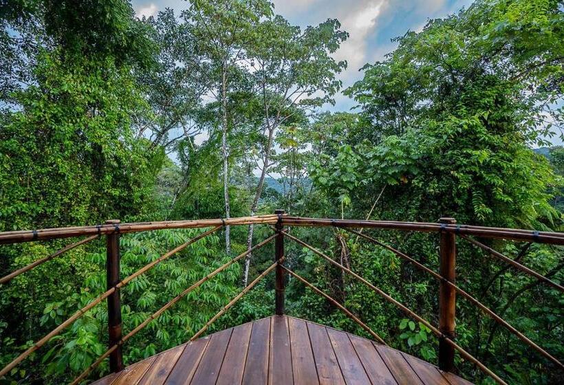 Jungle Gayborhood   Lgbtq Boutique Hotel And Retreat