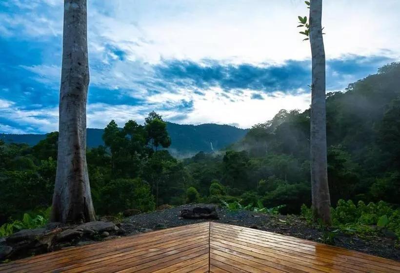 Jungle Gayborhood   Lgbtq Boutique Hotel And Retreat