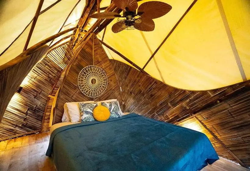 Jungle Gayborhood   Lgbtq Boutique Hotel And Retreat