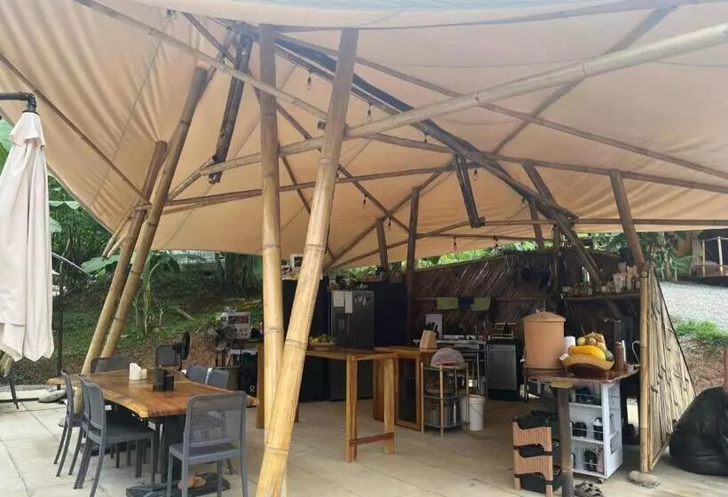 Jungle Gayborhood   Lgbtq Boutique Hotel And Retreat