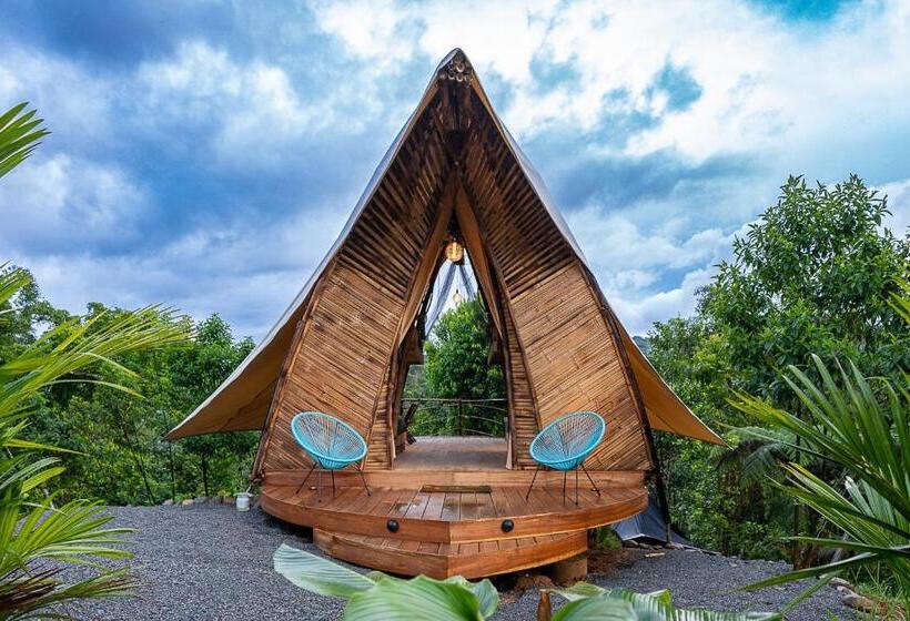 Jungle Gayborhood   Lgbtq Boutique Hotel And Retreat