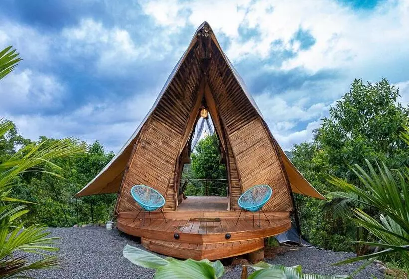 Jungle Gayborhood   Lgbtq Boutique Hotel And Retreat